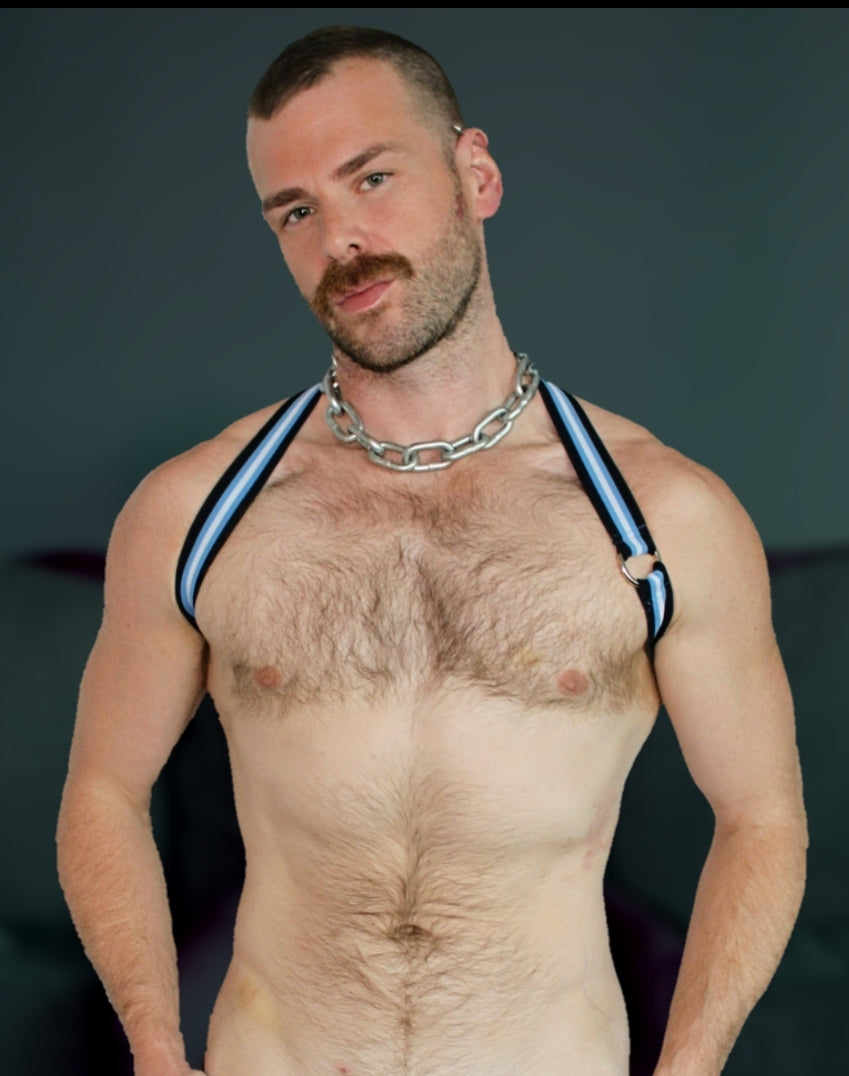 Blue Collar Harness by